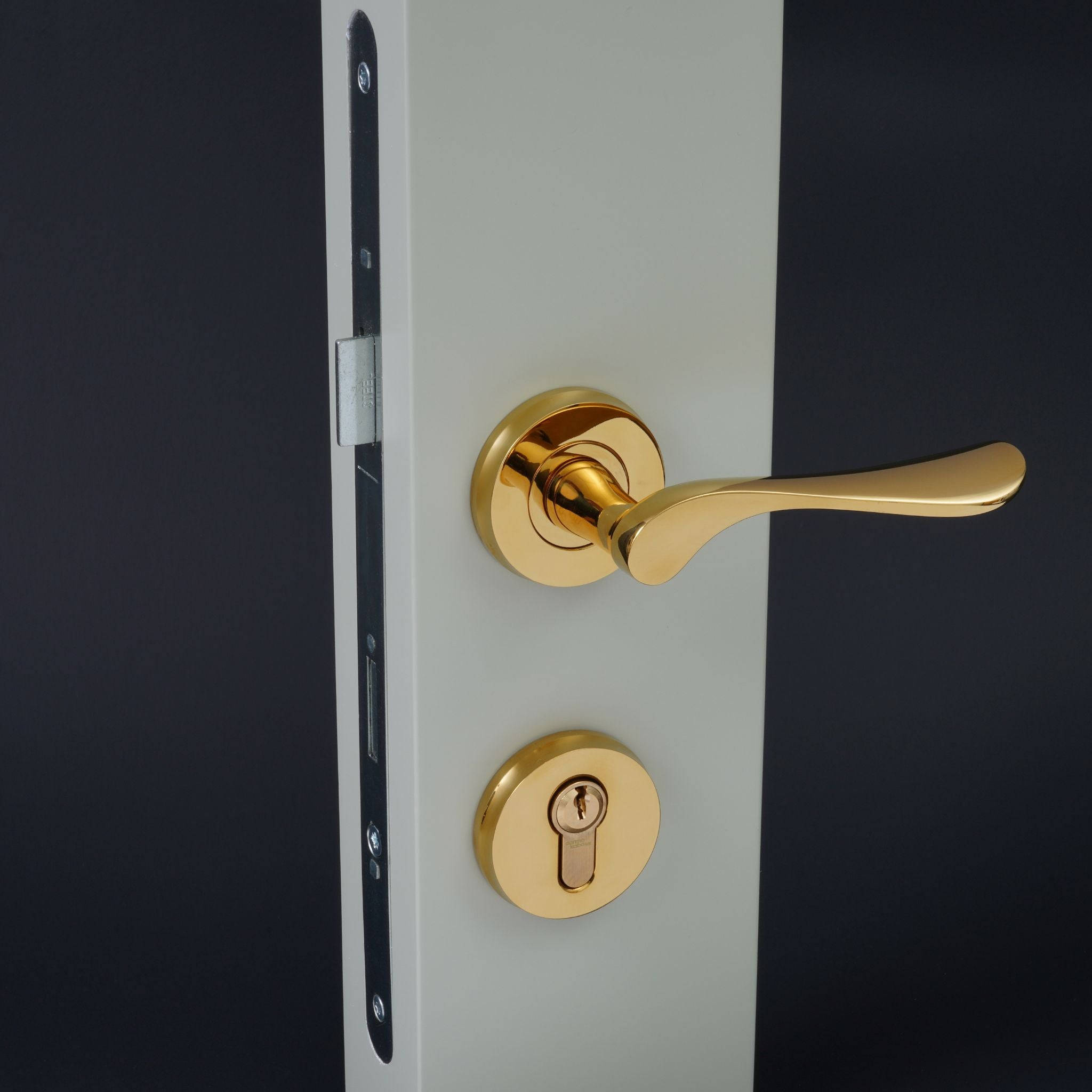 Regent Door Handle on Round Rose | PVD Stainless Polished Brass
