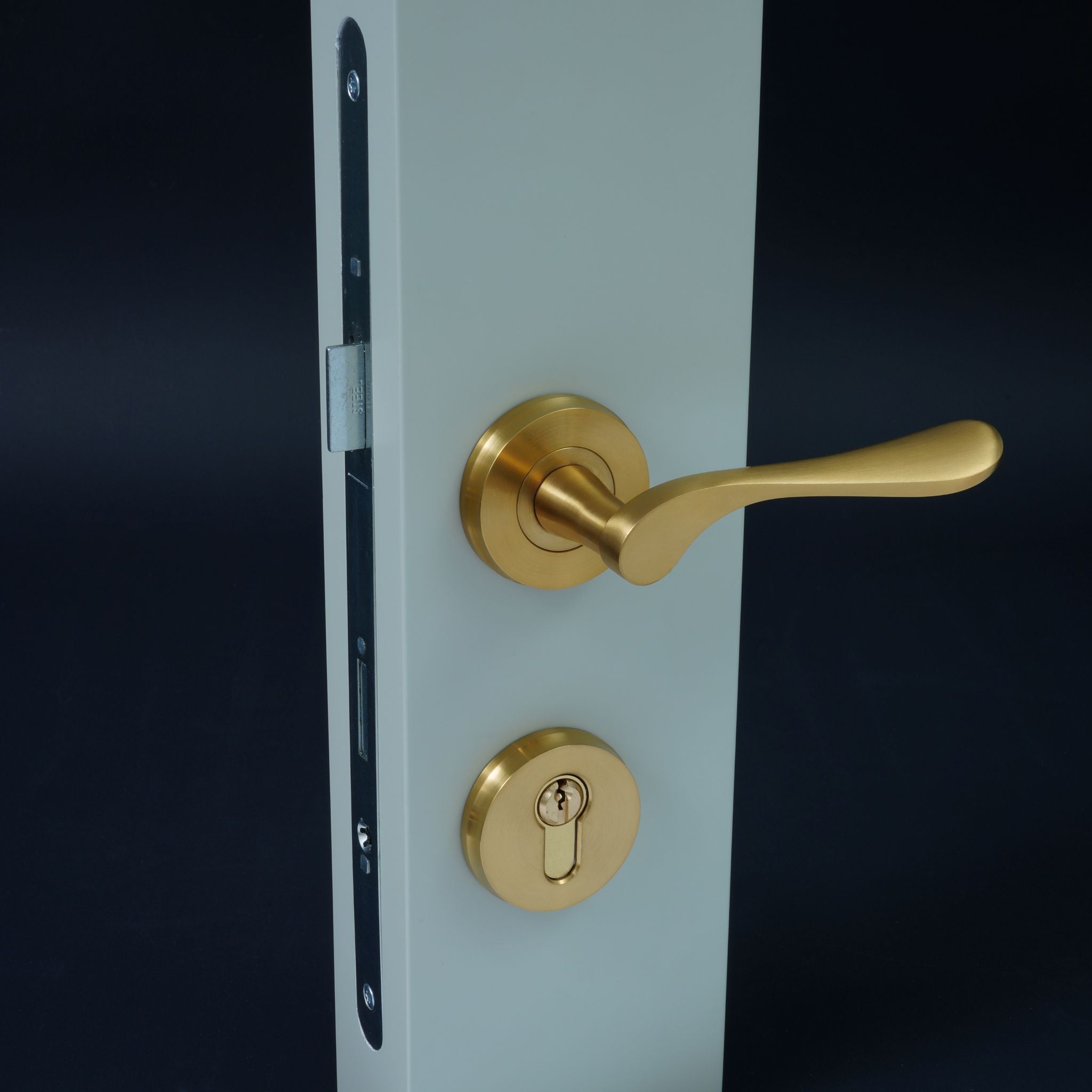 Regent Door Handle on Round Rose | PVD Stainless Satin Brass