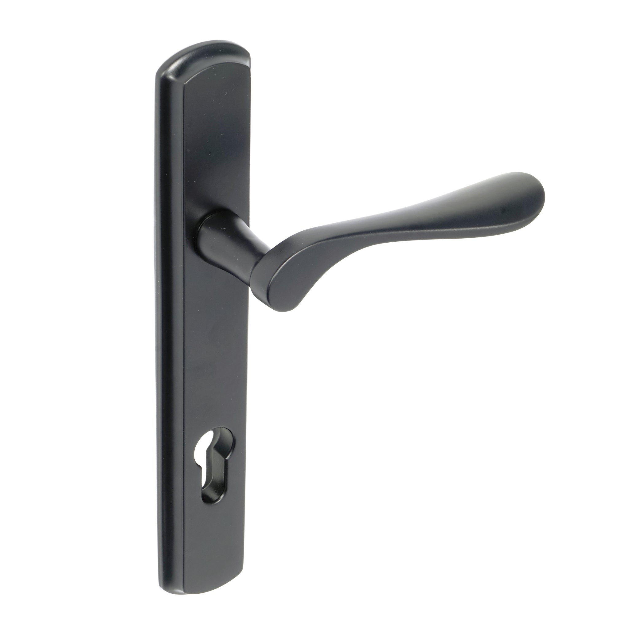 Regent Lever on 092 Backplate | Black