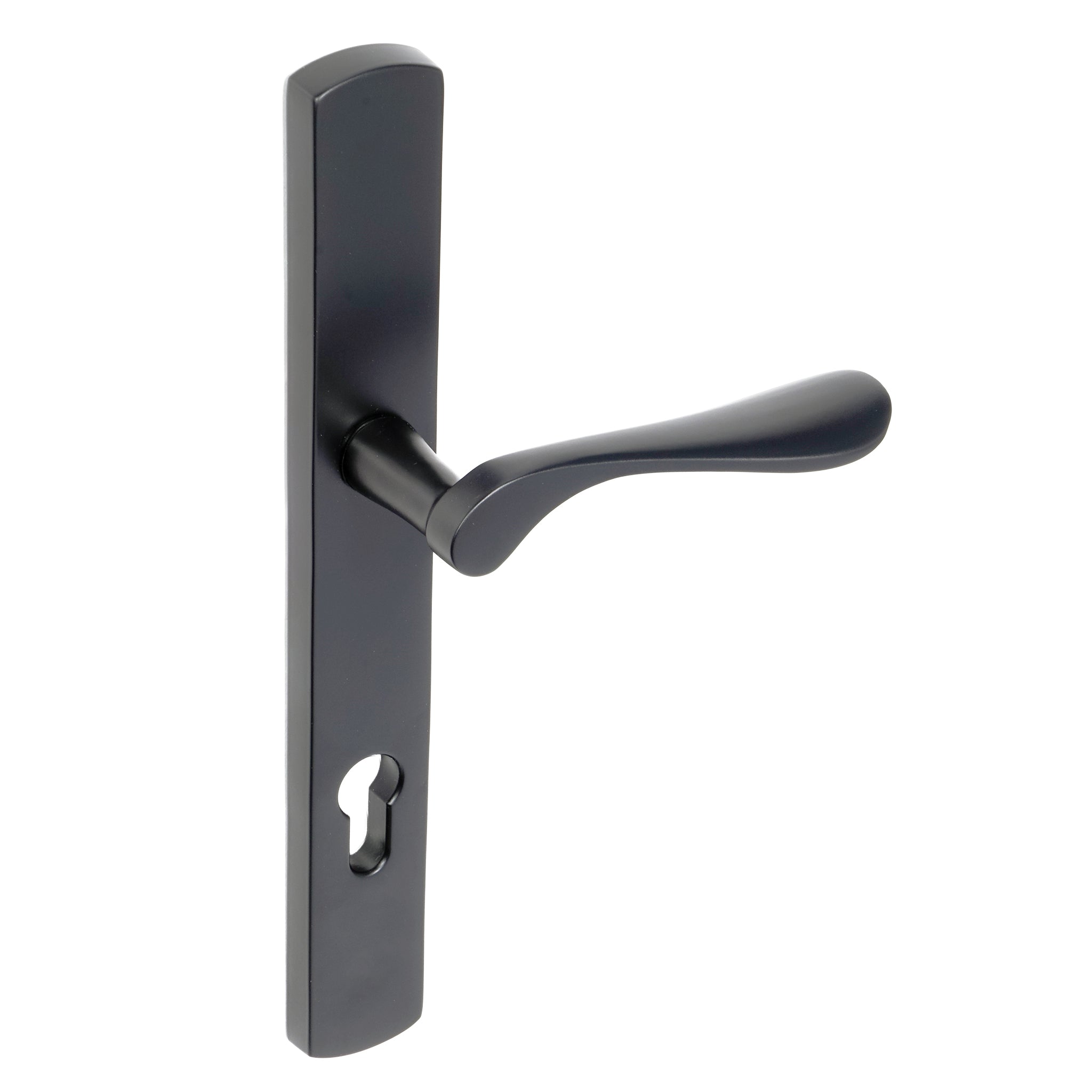 Regent Lever on 095 Backplate | Black
