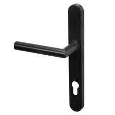 black lever handle on back plate