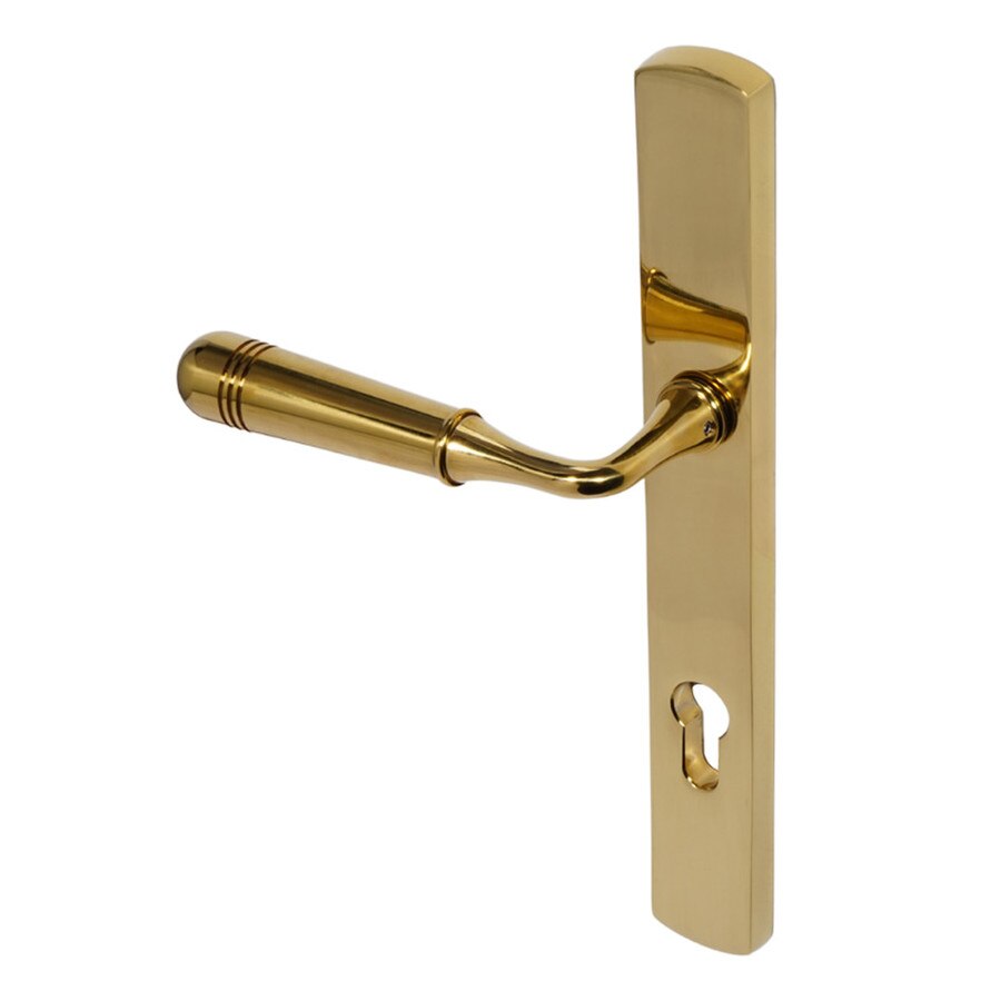 front door handle brass finish
