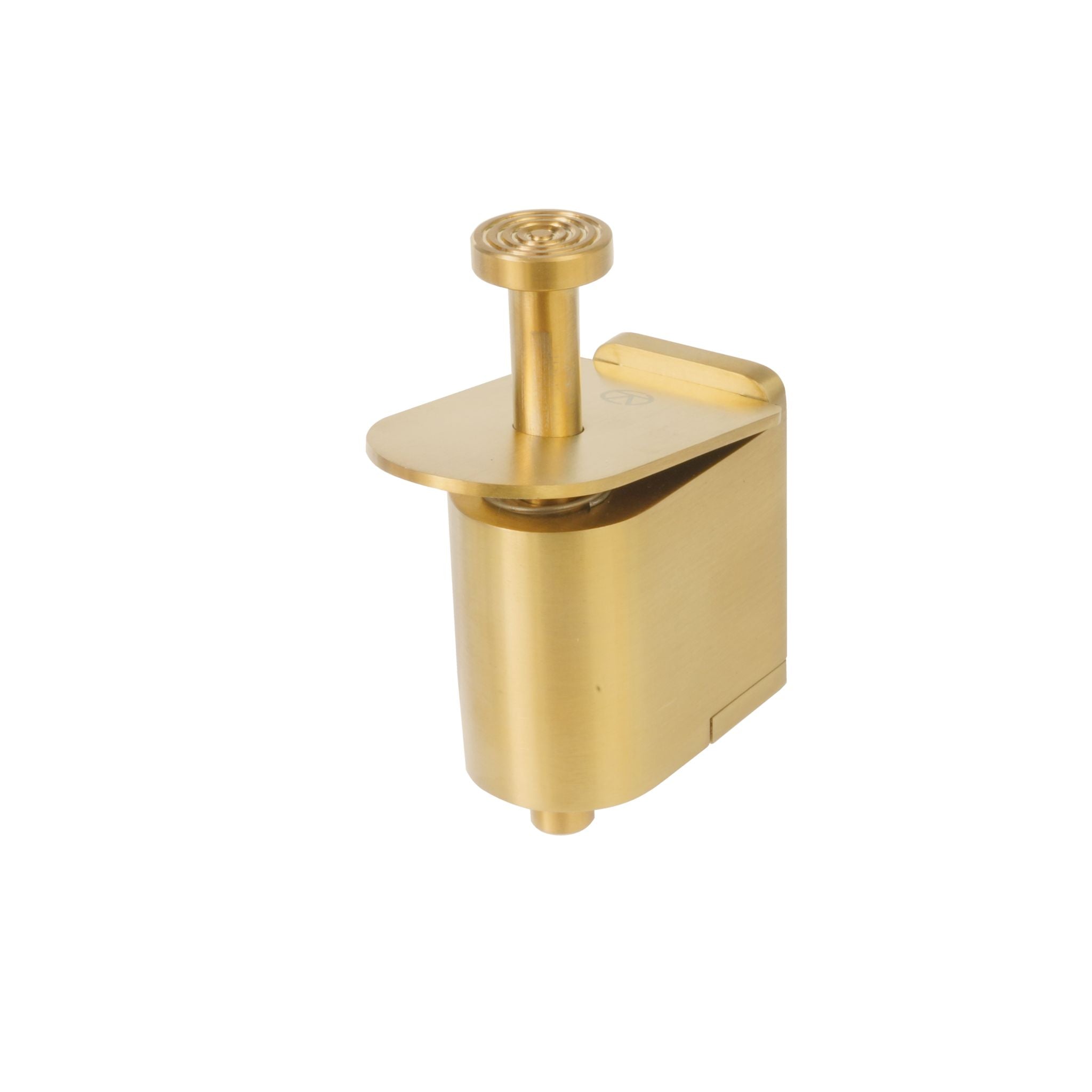 Fortis Door Leaf Holder | PVD Stainless Satin Brass