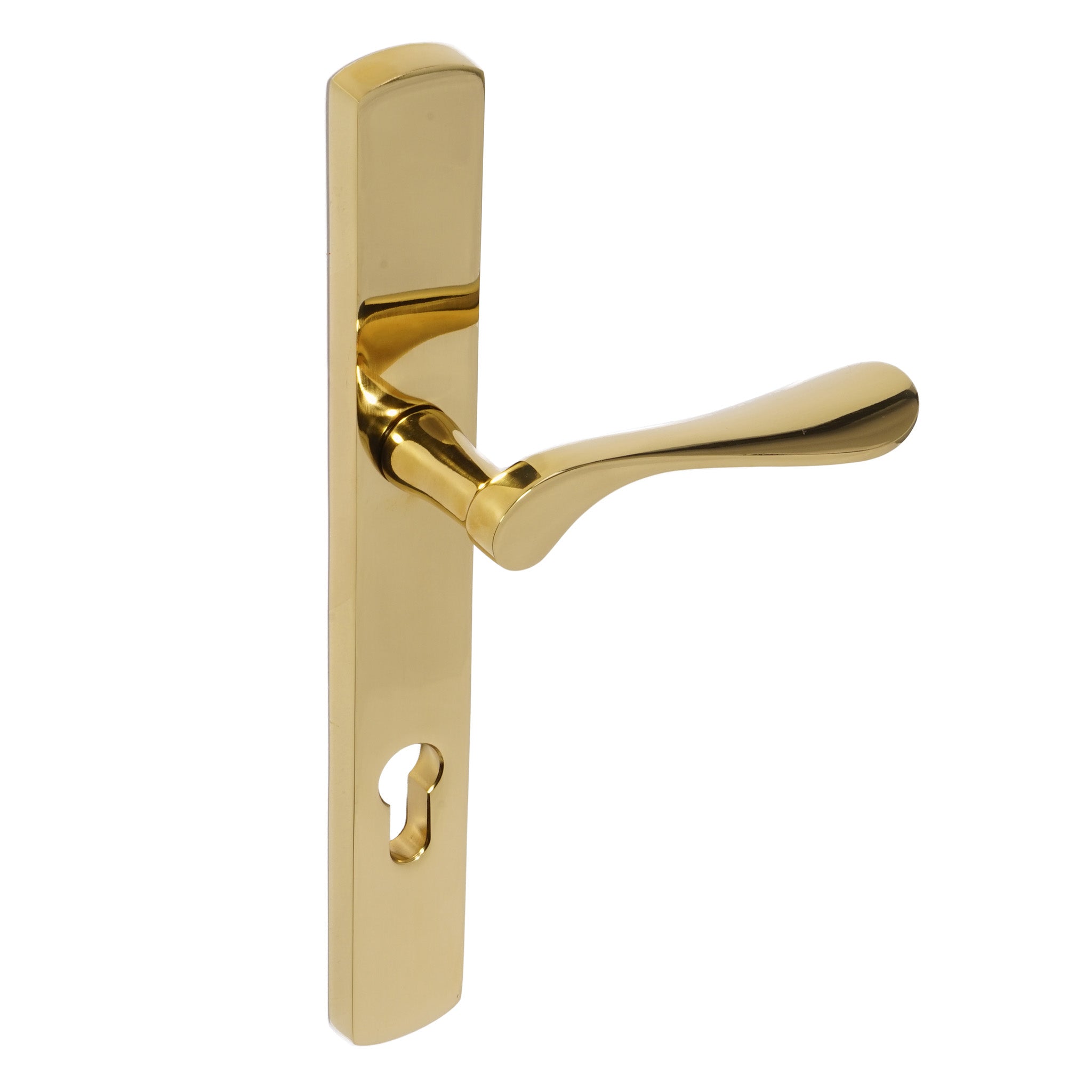 Regent Lever on 095 Backplate | PVD Stainless Polished Brass