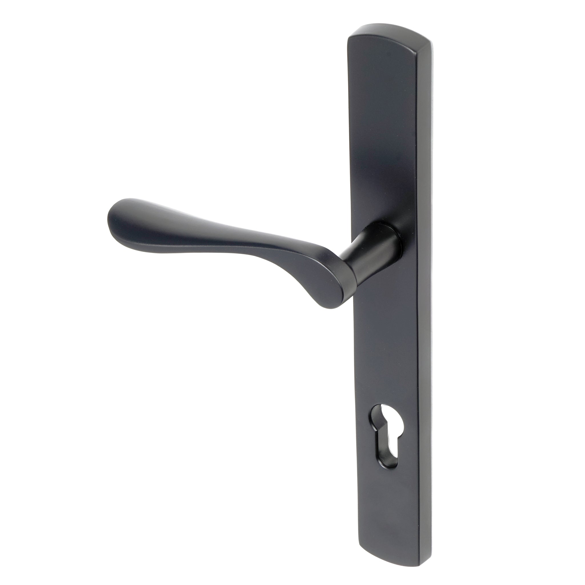 Regent Lever on 095 Backplate | Black